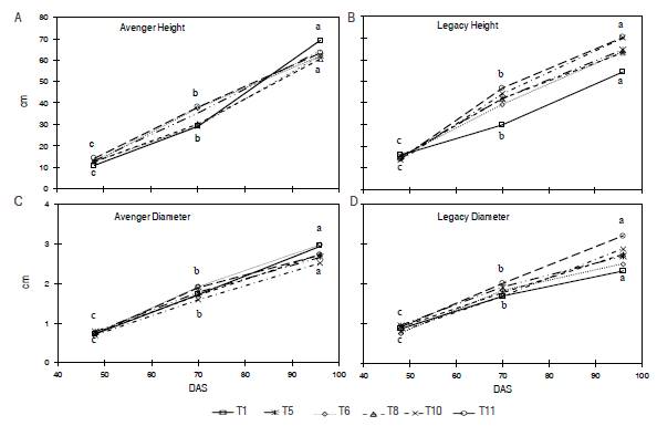 Plant height and stem diameter Avenger and Legacy. Values with the same letter do not present significant statistically differences by variable, between treatments and DAS (t-Test P>0.05). C.I. La Selva, Rionegro (Antioquia), 2014-B.