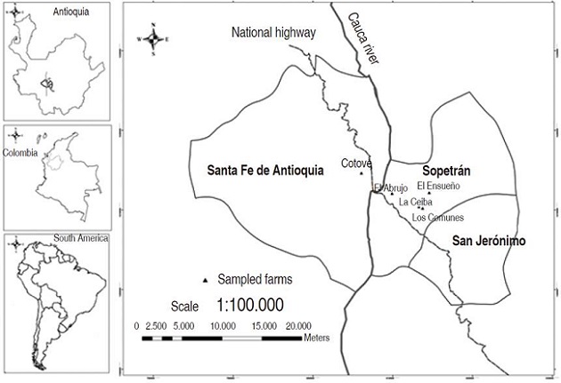 Geographic location of Tamarindus indica sampling sites, in Antioquia-Colombia.