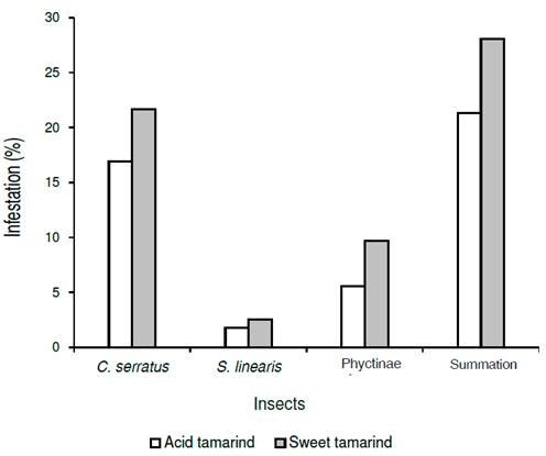 Percentage of Infestation (IP) of three main insects causing fruit damages to the Tamarindus indica phenotype.