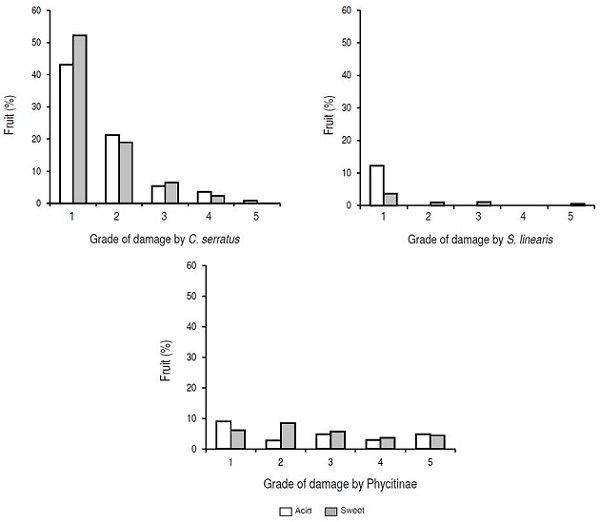 Percentage of affected Tamarindus indica L. fruit by three insect pests.