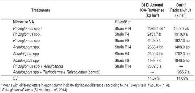 Average yield (kg ha-1) in Santander with regional bean varieties.
