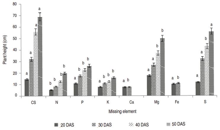 Plant height at 20, 30, 40, and 50 DAS cultivated with complete solution (CS) and with the omission of nutrients nitrogen (N), phosphorus (P), potassium (K), calcium (Ca), magnesium (Mg), iron (Fe), and sulfur (S). Means (for each date) followed by the same letter do not differ (P>0.01).