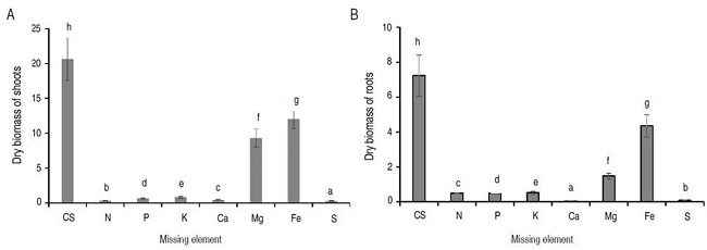 Dry biomass of A. shoots; B. roots of sunflower plants at 50 DAS with complete solution (CS) and with the omission of nutrients nitrogen (N), phosphorus (P), potassium (K), calcium (Ca), magnesium (Mg), iron (Fe) and sulfur (S). Means (for each date) followed by the same letter do not differ (P>0.01).