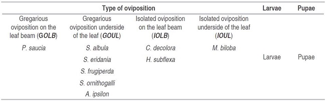 Response variables of the immature stages of Noctuidae species associated with Physalis peruviana.