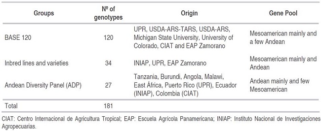 Groups of common bean genotypes evaluated.