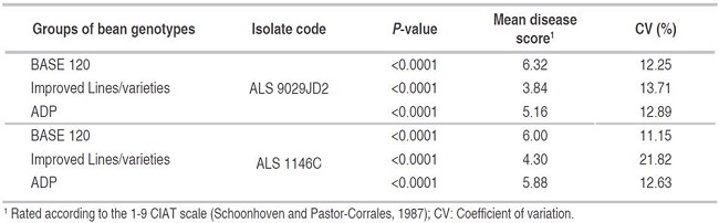 Summary of ANOVA for the severity of two isolates of angular leaf spot in three bean lines groups.