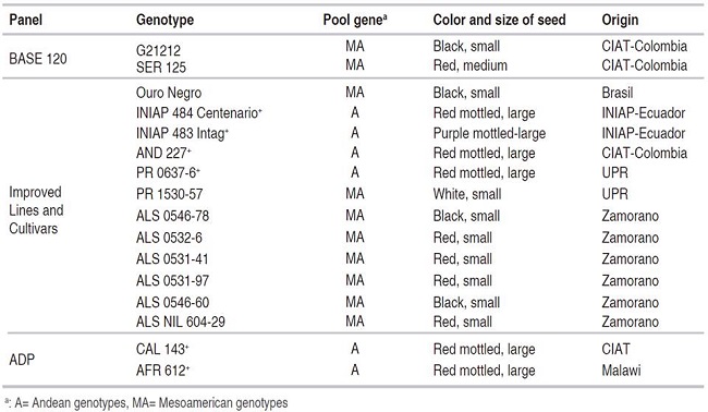 Common bean genotypes with resistance to Angular Leaf Spot isolates ALS 9029JD2 and ALS 1146C.
