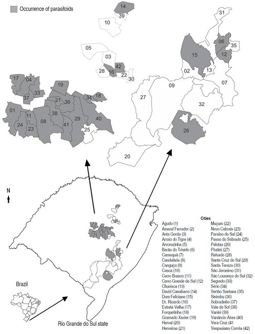 Cities in Rio Grande do Sul state where the surveys were carried out, highlighting the sites where there were occurrences of the parasitoids of M. persicae in tobacco crops.
