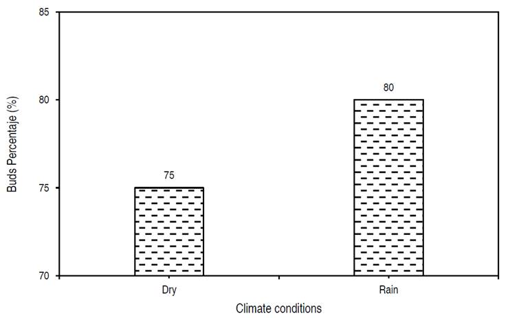 Percentage of morti&ntilde;o&rsquo;s structures in vegetative stage (VB) according to both dry and rainy seasons.