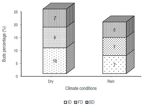 Percentage of morit&ntilde;o&rsquo;s reproductive structures according to both dry and rainy seasons. BD: development of the berries; FD: floral development; ID: inflorescence.