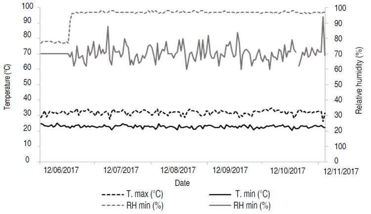 Characterization of temperature (°C) and relative humidity (%) during the phenological cycle of eggplant in Zona Bananera, the Caribbean region, Colombia.