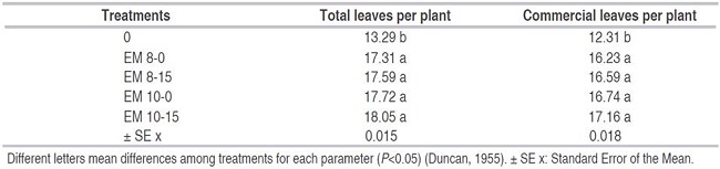 Effect of the application of efficient microorganisms on the number of total and commercial leaves of lettuce variety Riza-15.