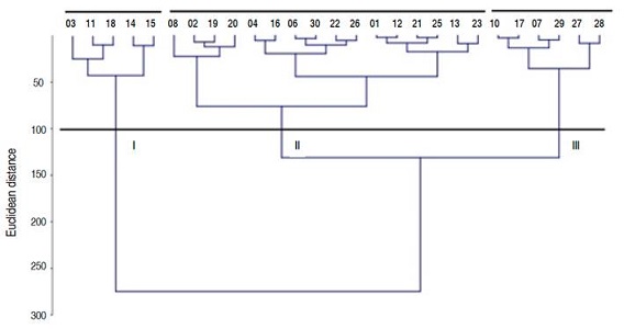 Fruits dendrogram of the Selenicereus undatus working collection.