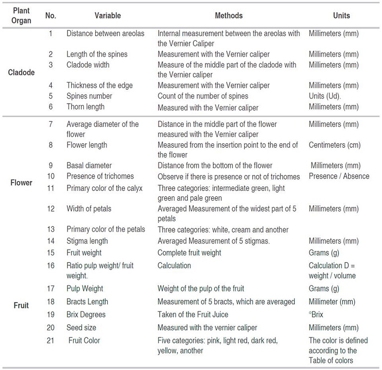 Descriptors of the red dragon fruit (Selenicereus undatus) to evaluate the accessions of the working collection "Jhon Jairo Gonz&aacute;lez"