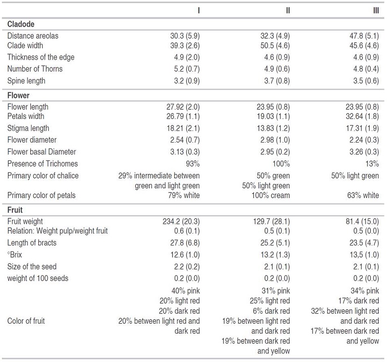 Difference among the groups of Dragon fruits accessions, according to the cladodes, fIowers and fruits characteristics.