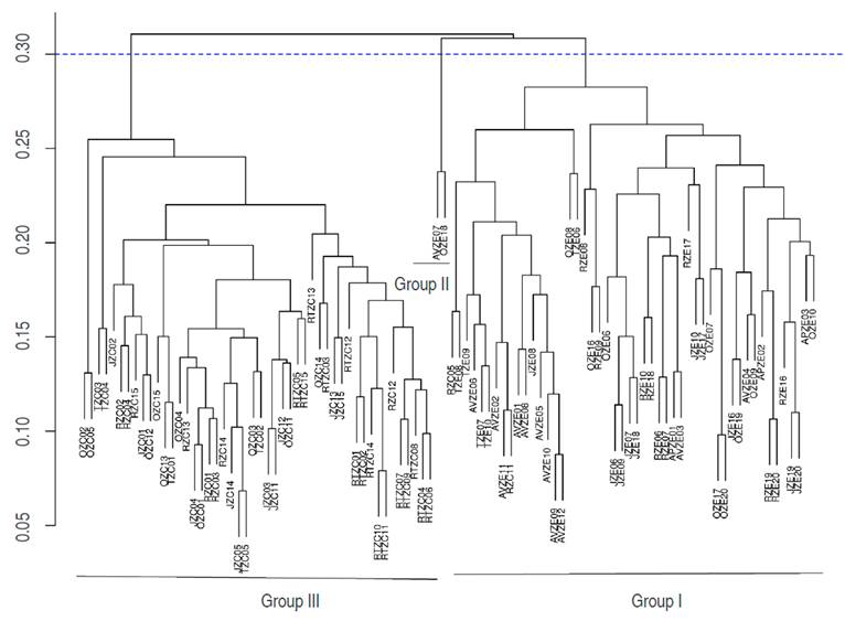 Dendrogram of Matisia cordata Bonpl. population from the morpho-agronomic data, generated by the UPGMA grouping method and the Gower distance.