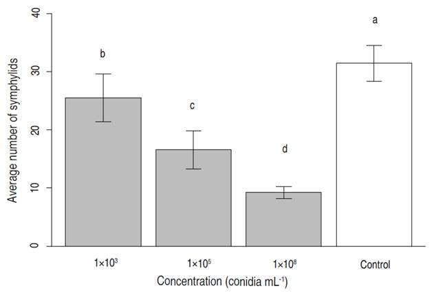 Results of inoculations of Purpureocillium lilacinum strain UdeA0106 on average symphylid density. Control = plants with symphylids and no fungus. Averages with different letters (a, b) indicate statistically different means at P=1.21&times;10-14; F=104,81; GL=3; N=8 replicates per treatment. Bars indicate standard deviation.