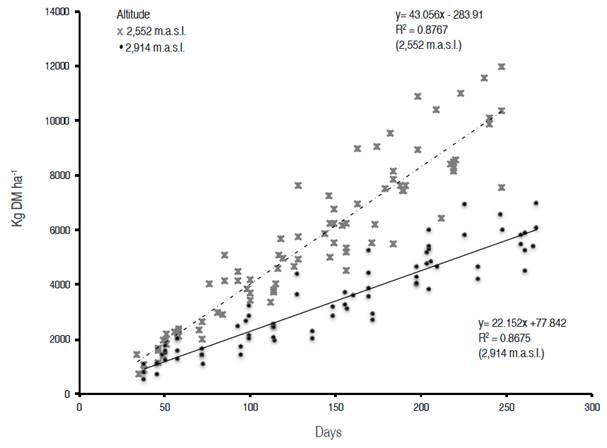 Accumulated dry matter yield by Kikuyu (Cenchrus clandestinus) pastures grown at two altitudes above the sea level. Each point represents the accumulated yield in one of the experimental plots at a particular point in time.