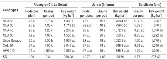 Production of biofortified Bush bean lines in three locations of Antioquia.