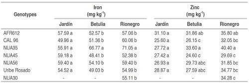 Iron and zinc content for the seven genotypes evaluated in the locations of Jardin, Betulia, and Rionegro in the department of Antioquia.