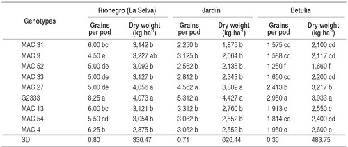 Production of climbing bean lines adapted to mid-climate and altitude (MAC) in three locations of Antioquia.