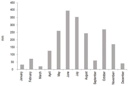 Rainfall (mm) in the Araucano piedmont during 2015 (Based on historical data collected in the region, IDEAM, 2020)