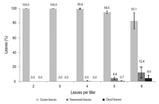 Percentage of green, senescent, and dead leaves from total leaves in tillers of B. decumbens in 10 cattle farms of the Araucano piedmont. Error bars represent the standard deviation (SD) of the mean.