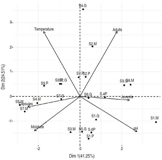PCA of the different volume treatments (T1: 5.94 m3, T2: 23.01 m3, and T3: 16.74 m3) at seven sampling times (S1: 15 d, S2: 30 d, S3: 45 d, S4: 60 d, S5: 75 d, S6: 90 d, and S7: 105 d) of the vermicompost transformed from ruminal content. The measured variables were the earthworms stages (Capsule, Juvenile, Adult), Temperature, Moisture, and pH of the vermicompost.