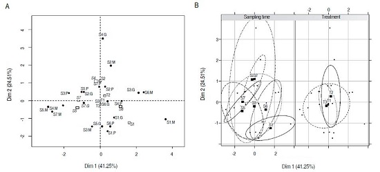 Behavior of individuals corresponding to the mean values of each treatment at different sampling times in the PCA. A. Biplot generated from vermicompost data from three different volume treatments (T1: 5.94 m3, T2: 23.01 m3, and T3: 16.74 m3) and seven sampling times 