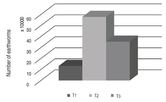 Number of earthworms per treatment after 105 days. T1. 5.94 m3; T2. 23.01 m3; T3. 16.74 m3.