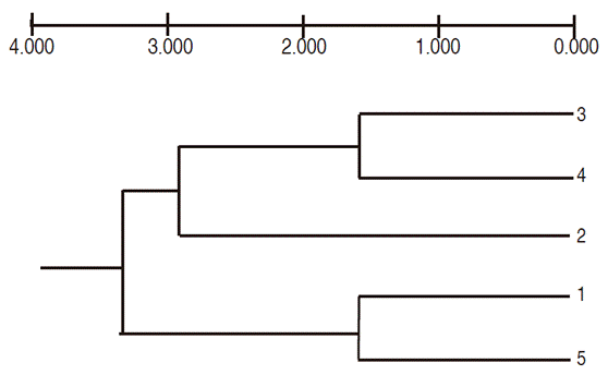 Dendogram of the genetic variability of calluses induced with lulo cotyledonary leaves and irradiated with Co60 gamma ray doses (Based on Nei's distances, combined data of seven RAM primers and UPGMA classification criteria; 1 = 0 Gy, 2 = 15 Gy, 3 = 30 Gy, 4 = 45 Gy, 5 = 60 Gy).