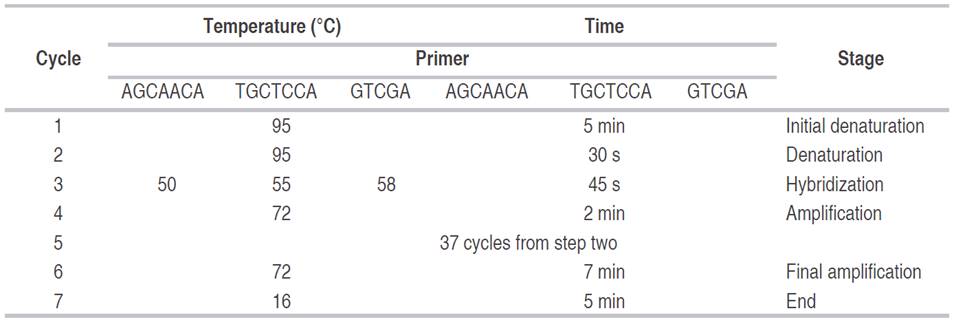 Hybridization and amplification conditions for the RAM technique with the selected primers.