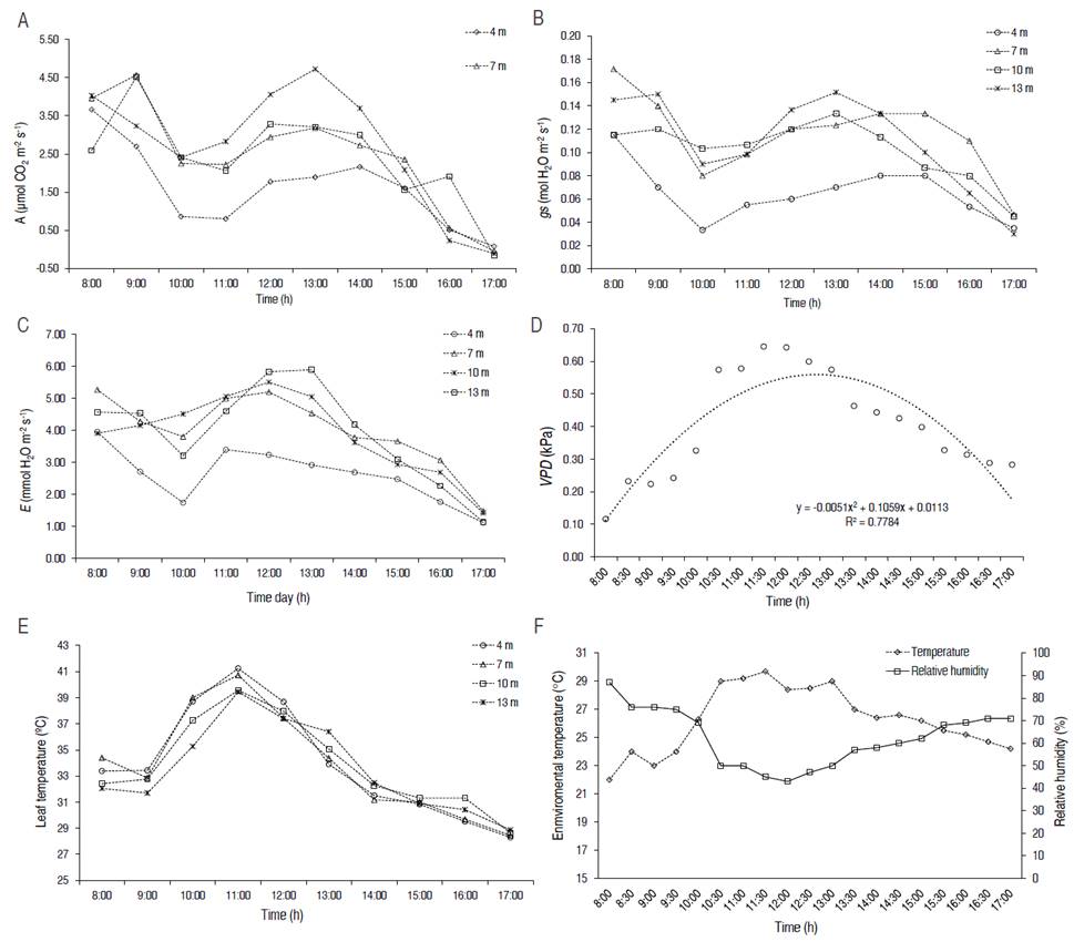 A. Diurnal variation of net photosynthetic rate (A); B. Stomatal conductance (gs); C. Transpiration rates (E); D. Vapor pressure deficit (VPD) at the top of cocoa; E. Leaf temperature; F. Environmental temperature and relative humidity in cocoa plants at distances of 4, 7, 10, 13 m from Spanish elm trees.