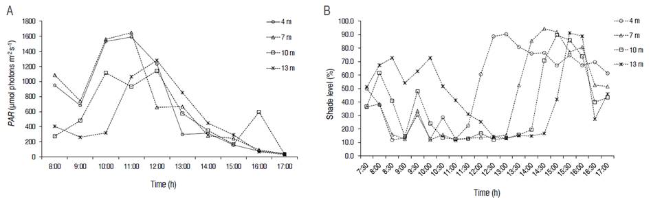 A. Diurnal variation of photosynthetically active radiation (PAR) and B. Shade level at the top of Theobroma cacao plants at distances of 4 m, 7 m, 10 m, 13 m from Spanish elm trees 