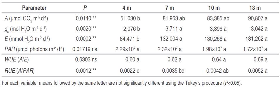 Daily integral of the net photosynthetic rate (A), stomatal conductance (gs), transpiration rate (E), photosynthetically active radiation (PAR), water use efficiency (WUE), and radiation use efficiency (RUE) measured in leaves of Theobroma cacao plants at distances of 4 m, 7 m, 10 m, 13 m from Spanish elm trees.