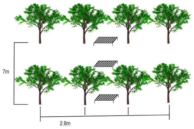 Graphic representation of the location of the necromass collector nets in each sampling unit.