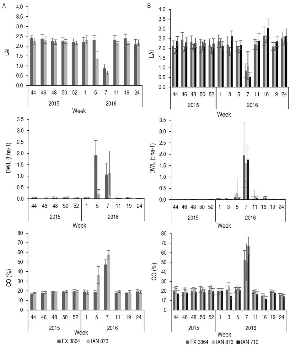 Behavior of leaf area index (LAI), dry weight of leaves (DWL) and canopy openness (CO) of rubber clones FX 3864, IAN 873, and IAN 710 in A. Nech&iacute; and B. Taraz&aacute;.