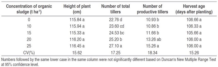 Effects of the few changes on the plant development on height of plant, number of total tillers, number of productive tillers and harvesting age.