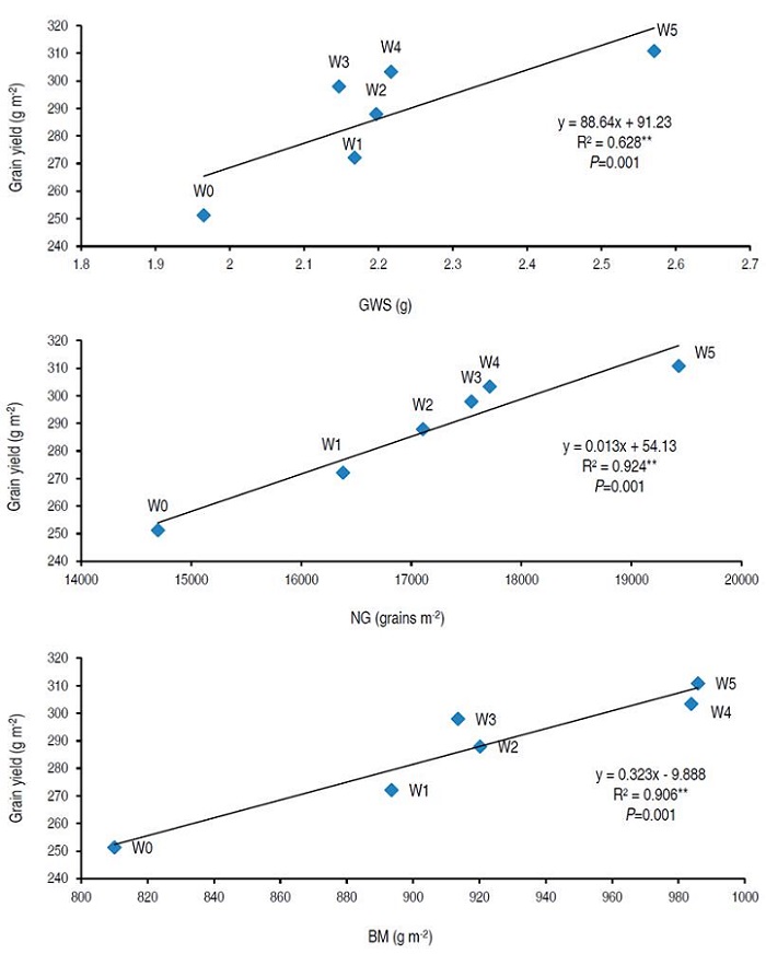 Scatter plots of grain yield vs. main grain yield components across water regimes.