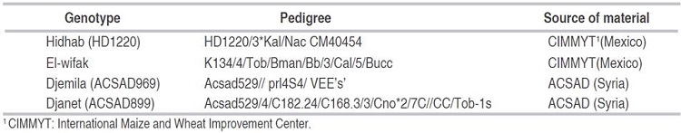 Pedigree and source of plant material.