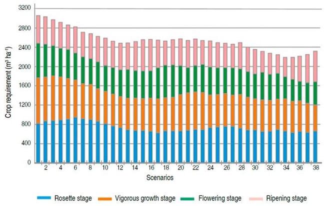Water requirements of burley tobacco crop.