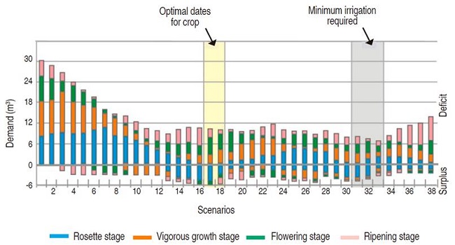 Water demand per cycle of burley tobacco crop by simulation CC1.