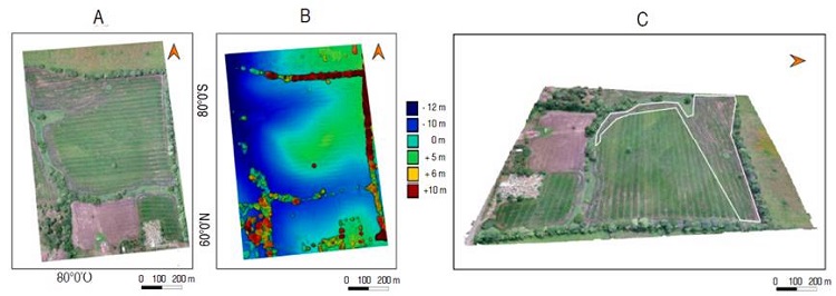 Visual maps for the case of study 1 on 48 DAS. A. 2D model; B. DEM; C. 3D model.