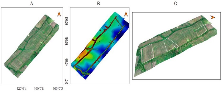 Visual maps for the Case of study 2 on 56 DAS. A. 2D model; B. Digital Elevation Model (DEM); C. 3D model.