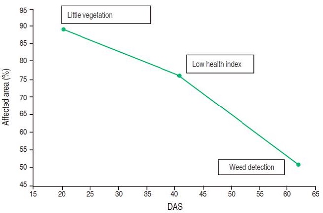 Percentage of the affected zone with low health index in the case of study 3 along the evaluation period.