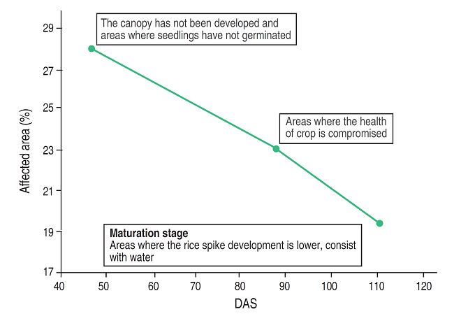 Percentage of the affected zone with low health index in the Case of study 1 along the evaluation period.