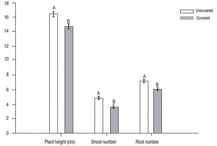 Effect of plastic coverage on plant growth factors during ex vitro acclimatization of arrow cane (Gynerium sagitatum Aubl.) micropropagated plants.
