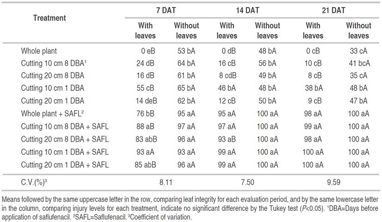 Conyza spp. control (%) in different tissue conditions at 7, 14, and 21 days after application (DAT) of saflufenacil.