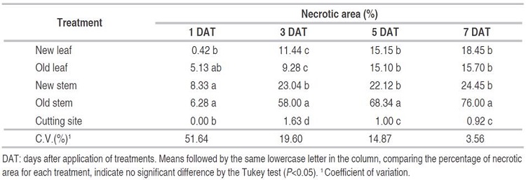Necrotic area (%) of Conyza spp. evaluated at different times after localized application of saflufenacil.