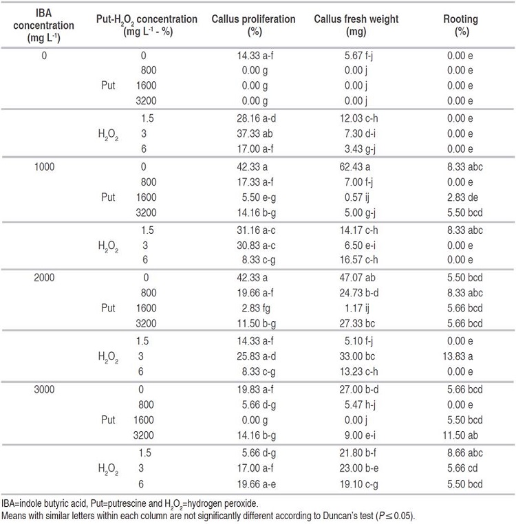 Effect of IBA, Put and H2O2 on callus proliferation and rooting of GF677 cuttings taken in July.